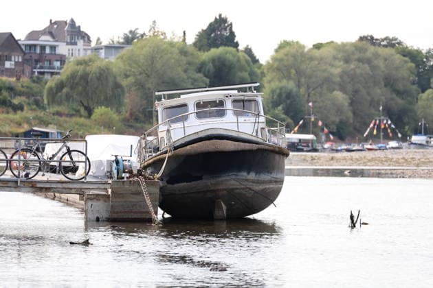 Bad Honnef, Germany, Nature, Climate, Summer, Drought, Rhine, Low Water, Herseler Werth Island, Bornheim Hersel, North Rhine-Westphalia, Germany, August 8, 2026: The drought is causing the Rhine water level—here at Herseler Werth in Bornheim Hersel—to drop to a minimum GER, Nature, Climate, Summer, Drought, Rhine, Lo Copyright: xEibner-Pressefoto JuergenxAugstx EP_JAT