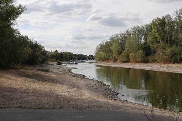 Bad Honnef, Germany, Nature, Climate, Summer, Drought, Rhine, Low Water, Herseler Werth Island, Bornheim Hersel, North Rhine-Westphalia, Germany, August 8, 2026: The drought is causing the Rhine water level—here at Herseler Werth in Bornheim Hersel—to drop to a minimum GER, Nature, Climate, Summer, Drought, Rhine, Lo Copyright: xEibner-Pressefoto JuergenxAugstx EP_JAT