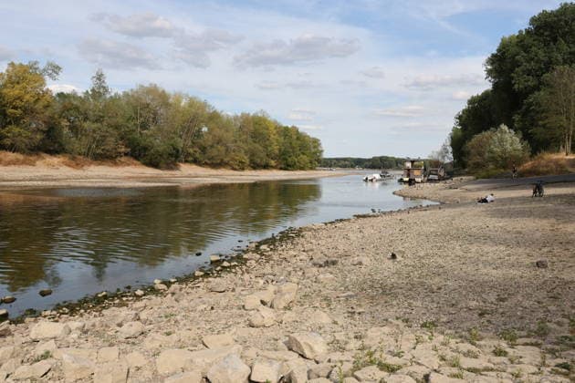 Bad Honnef, Germany, Nature, Climate, Summer, Drought, Rhine, Low Water, Herseler Werth Island, Bornheim Hersel, North Rhine-Westphalia, Germany, August 8, 2026: The drought is causing the Rhine water level—here at Herseler Werth in Bornheim Hersel—to drop to a minimum GER, Nature, Climate, Summer, Drought, Rhine, Lo Copyright: xEibner-Pressefoto JuergenxAugstx EP_JAT