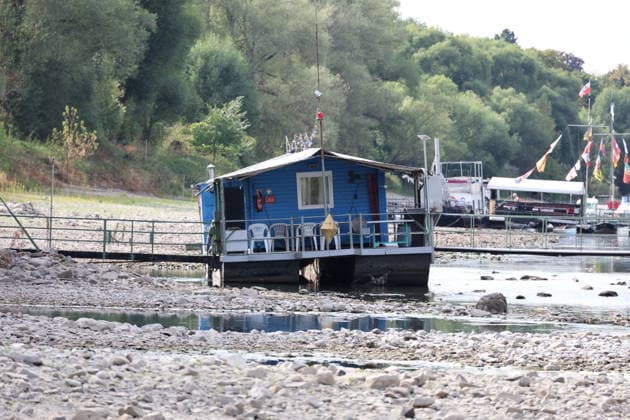Bad Honnef, Germany, Nature, Climate, Summer, Drought, Rhine, Low Water, Herseler Werth Island, Bornheim Hersel, North Rhine-Westphalia, Germany, August 8, 2026: The drought is causing the Rhine water level—here at Herseler Werth in Bornheim Hersel—to drop to a minimum GER, Nature, Climate, Summer, Drought, Rhine, Lo Copyright: xEibner-Pressefoto JuergenxAugstx EP_JAT