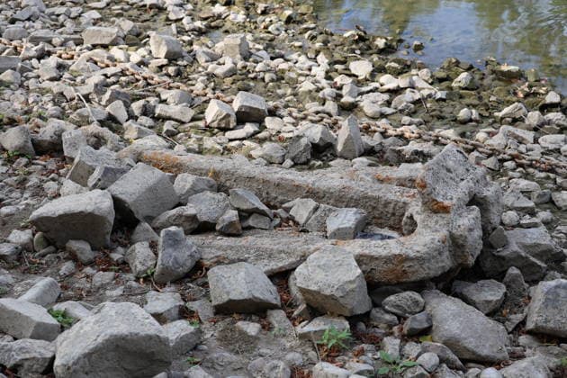 Bad Honnef, Germany, Nature, Climate, Summer, Drought, Rhine, Low Water, Herseler Werth Island, Bornheim Hersel, North Rhine-Westphalia, Germany, August 8, 2026: The drought is causing the Rhine water level—here at Herseler Werth in Bornheim Hersel—to drop to a minimum GER, Nature, Climate, Summer, Drought, Rhine, Lo Copyright: xEibner-Pressefoto JuergenxAugstx EP_JAT