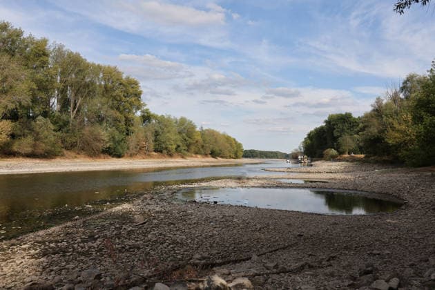 Bad Honnef, Germany, Nature, Climate, Summer, Drought, Rhine, Low Water, Herseler Werth Island, Bornheim Hersel, North Rhine-Westphalia, Germany, August 8, 2026: The drought is causing the Rhine water level—here at Herseler Werth in Bornheim Hersel—to drop to a minimum GER, Nature, Climate, Summer, Drought, Rhine, Lo Copyright: xEibner-Pressefoto JuergenxAugstx EP_JAT