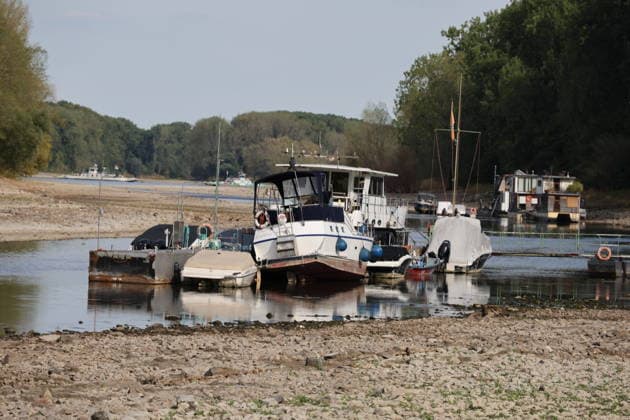 Bad Honnef, Germany, Nature, Climate, Summer, Drought, Rhine, Low Water, Herseler Werth Island, Bornheim Hersel, North Rhine-Westphalia, Germany, August 8, 2026: The drought is causing the Rhine water level—here at Herseler Werth in Bornheim Hersel—to drop to a minimum GER, Nature, Climate, Summer, Drought, Rhine, Lo Copyright: xEibner-Pressefoto JuergenxAugstx EP_JAT