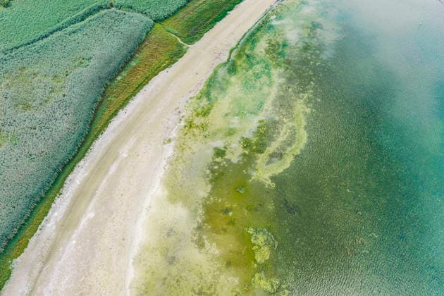 The shore of Lake Constance near Moos with low water levels. Water levels have reached a record low due to the hot summer. In many harbors on the Untersee, there is hardly any water left. Moos is located on the shore of Lake Constance on the Höri Peninsula. August 6, 2026, Moos, Baden-Württemberg, Germany