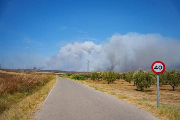 The fire in Niebla, Huelva, has now spread across 8,000 hectares and has forced more than 400 people to evacuate The fire in Niebla, Huelva, has now spread across 8,000 hectares and has forced more than 400 people to evacuate As of August 9, 2026 in Niebla, Huelva, Andalusia, Spain The wildfire that broke out this past Thursday in Niebla, Huelva, has now spread across 8,000 hectares, and 474 people remain evacuated. Firefighting efforts this Sunday are focused on the northern and eastern flanks, with the aim of completely enclosing the perimeter, which is estimated at about 44 kilometers. AUGUST 9, 2026 Francisco J Niebla, Huelva, Andalusia, Spain Niebla, Huelva, Andalusia, Spain Spain Copyright: xFranciscoxJ.xOlmox 7707345