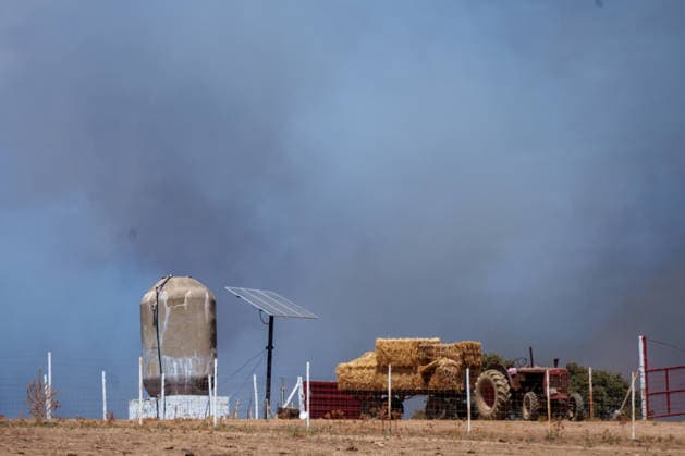 The fire in Niebla, Huelva, has now spread across 8,000 hectares and has forced more than 400 people to evacuate The fire in Niebla, Huelva, has now spread across 8,000 hectares and has forced more than 400 people to evacuate As of August 9, 2026 in Niebla, Huelva, Andalusia, Spain The wildfire that broke out this past Thursday in Niebla, Huelva, has now spread across 8,000 hectares, and 474 people remain evacuated. Firefighting efforts this Sunday are focused on the northern and eastern flanks, with the aim of completely enclosing the perimeter, which is estimated at about 44 kilometers. AUGUST 9, 2026 Francisco J Niebla, Huelva, Andalusia, Spain Niebla, Huelva, Andalusia, Spain Spain  Copyright: xFranciscoxJ.xOlmox 7707343