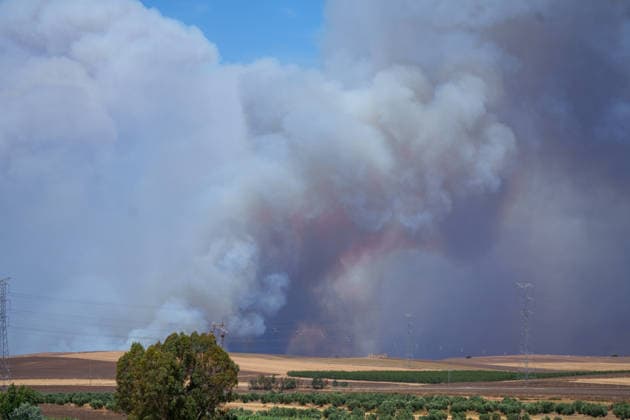 The fire in Niebla, Huelva, has now spread across 8,000 hectares and has forced more than 400 people to evacuate The fire in Niebla, Huelva, has now spread across 8,000 hectares and has forced more than 400 people to evacuate As of August 9, 2026 in Niebla, Huelva, Andalusia, Spain The wildfire that broke out this past Thursday in Niebla, Huelva, has now spread across 8,000 hectares, and 474 people remain evacuated. Firefighting efforts this Sunday are focused on the northern and eastern flanks, with the aim of completely enclosing the perimeter, which is estimated at about 44 kilometers. AUGUST 9, 2026 Francisco J Niebla, Huelva, Andalusia, Spain Niebla, Huelva, Andalusia, Spain Spain Copyright: xFranciscoxJ.xOlmox 7707346