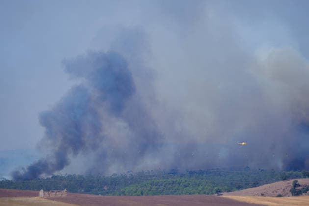 The fire in Niebla, Huelva, has now spread across 8,000 hectares and has forced more than 400 people to evacuate The fire in Niebla, Huelva, has now spread across 8,000 hectares and has forced more than 400 people to evacuate As of August 9, 2026 in Niebla, Huelva, Andalusia, Spain The wildfire that broke out this past Thursday in Niebla, Huelva, has now spread across 8,000 hectares, and 474 people remain evacuated. Firefighting efforts this Sunday are focused on the northern and eastern flanks, with the aim of completely enclosing the perimeter, which is estimated at about 44 kilometers. AUGUST 9, 2026 Francisco J Niebla, Huelva, Andalusia, Spain Niebla, Huelva, Andalusia, Spain Spain  Copyright: xFranciscoxJ.xOlmox 7707350