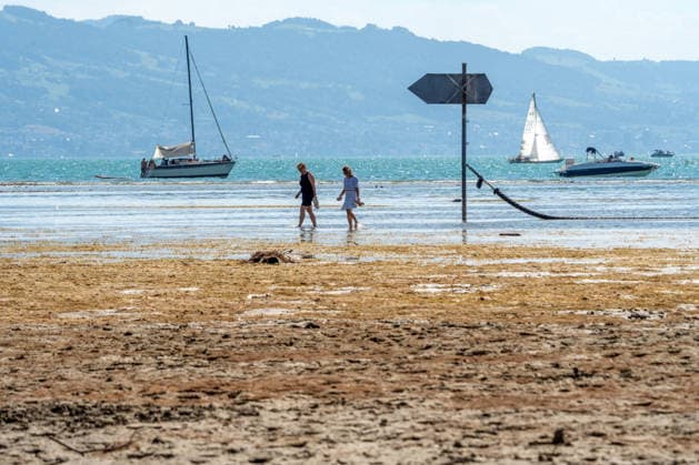 Shore area at Lake Constance exposed by drought; walkers wading through the shallow water toward the shore; Wasserburg, August 2026, Germany; Wasserburg, August 2026, shoreline exposed by droug