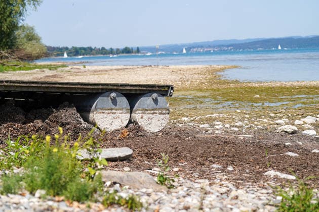 Lake Constance near Bottighofen, Canton of Thurgau, Switzerland Exposed shoreline with a gravel bank and low water level on Lake Constance; wide-angle view, shoreline landscape, low water, water level, dry conditions, drought, climate change, heat, extreme weather, environment, nature, Lake Constance shoreline, pier, sediments, gravel beach, shallow water zone, Copyright: xJOERANxSTEINSIEKx