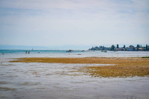 Lake Constance near Bottighofen, Canton of Thurgau, Switzerland; Extensive shallow water and shoreline areas with exposed gravel banks due to low water levels; Total, Low Water, Lake Constance, Lake Constance shoreline, gravel bank, shallow water zone, aquatic plants, algae, dry con Copyright: xJOERANxSTEINSIEKx