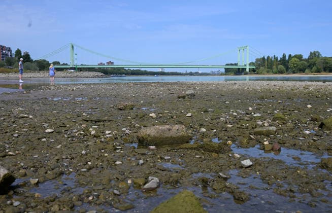 August 9, 2026, xophax, public life, Cologne, Low water levels in the Rhine; shipping on the Rhine restricted; South Bridge, Cologne