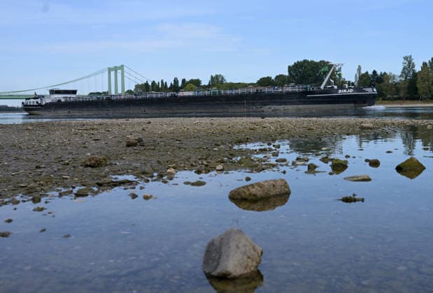 August 9, 2026, xophax, public life, Cologne, Low water levels in the Rhine; shipping on the Rhine restricted; Rodenkirchen, Cologne