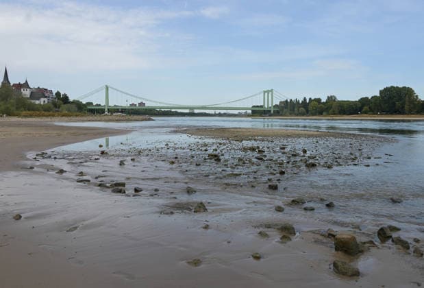 August 9, 2026, xophax, public life, Cologne, Low water levels on the Rhine; shipping on the Rhine restricted; Rodenkirchen South Bridge, Cologne