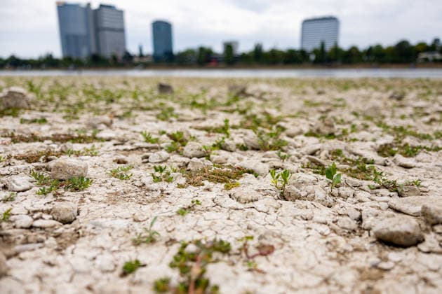 Low Water Levels on the Rhine: Dry riverbed on the Beuel side of the Rhine in Bonn; Low Water Levels on the Rhine: View of the largely dry riverbed on the Beuel side of the Rhine in Bonn, with a water level of 78 cm at the Bonn gauge. The ongoing drought is causing the Rhine’s water level to conti Copyright: xMarcxJohnx