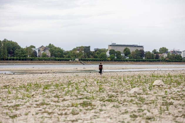 Low Water Levels on the Rhine: Dry riverbed on the Beuel bank of the Rhine in Bonn; Low Water Levels on the Rhine: View of the largely dry riverbed on the Beuel bank of the Rhine in Bonn, with a water level of 78 cm at the Bonn gauge. The ongoing drought is causing the Rhine’s water level to continue to drop, and inland waterway shipping is severely restricted Bonn Beuel North Copyright: xMarcxJohnx