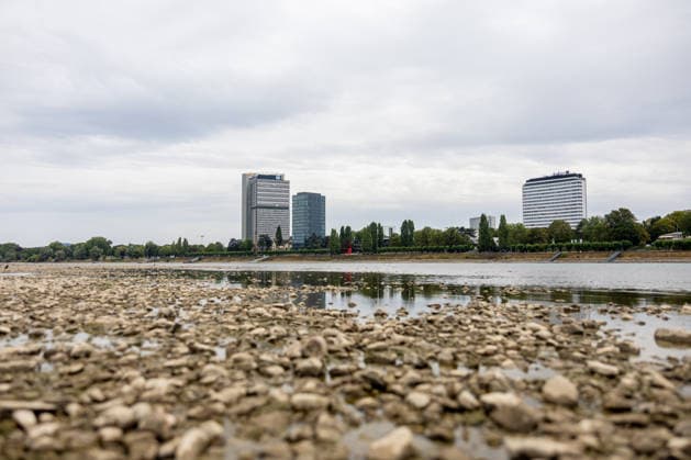 Low Water on the Rhine: Dry riverbed on the Beuel bank of the Rhine in Bonn Low Water on the Rhine: View of the largely dry riverbed on the Beuel bank of the Rhine in Bonn at a water level of 78 cm at t Copyright: xMarcxJohnx