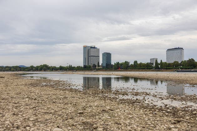 Low Water on the Rhine: Dry riverbed on the Beuel bank of the Rhine in Bonn Low Water on the Rhine: View of the largely dry riverbed on the Beuel bank of the Rhine in Bonn at a water level of 78 cm at t Copyright: xMarcxJohnx