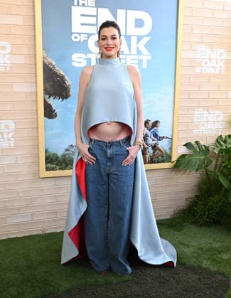 ˜The End of Oak Street™ World Premiere Anne Hathaway arriving to The End of Oak Street world premiere held at the Steven J. Ross Theater on August 8, 2026 in Burbank, CA. Burbank Steven J. Ross Theater California USA Copyright: xLisaxOConnorx xAFF-USA.comx