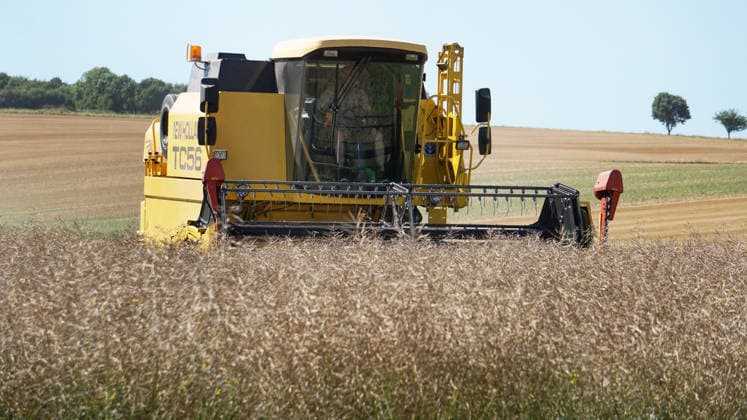 Rapeseed harvest in Eilensen in the Northeim am Solling district of Lower Saxony, Germany. A New Holland combine harvester is threshing rapeseed in a dry field under sunny summer skies. 2026 rapeseed harvest in Lower Saxony