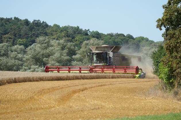 Uckermark GER, Germany, 20260810, Uckermark, Combine Harvester