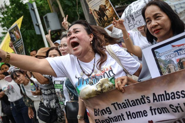 August 10, 2026, Bangkok, Thailand: Thai elephant lovers call for two elephants to be returned from Sri Lanka. Thai elephant lovers gather outside the Sri Lankan Embassy in Bangkok, calling on Sri Lanka to return the two Thai goodwill ambassador elephants, Plai Pratu Pha and Plai Plai Srinarong, to Thailand, after reports that the elephants have been overworked, in Bangkok, Thailand, August 10, 2026. Bangkok Thailand - ZUMAs197 20260810_aaa_s197_015 Copyright: xNattaphonxPhanphongsanonx