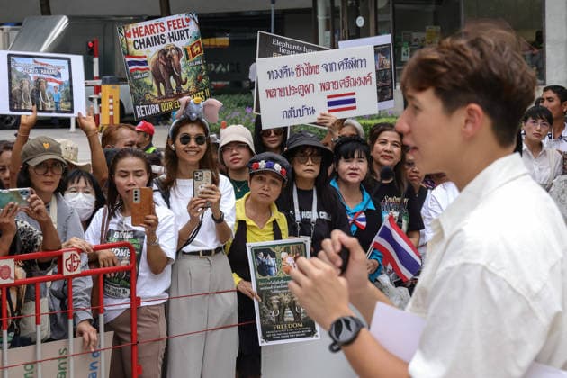August 10, 2026, Bangkok, Thailand: Thai elephant lovers call for two elephants to be returned from Sri Lanka. Thai elephant lovers gather outside the Sri Lankan Embassy in Bangkok, calling on Sri Lanka to return the two Thai goodwill ambassador elephants, Plai Pratu Pha and Plai Plai Srinarong, to Thailand, after reports that the elephants have been overworked, in Bangkok, Thailand, August 10, 2026. Bangkok Thailand - ZUMAs197 20260810_aaa_s197_012 Copyright: xNattaphonxPhanphongsanonx