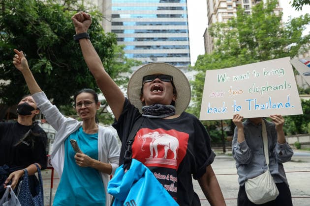August 10, 2026, Bangkok, Thailand: Thai elephant lovers call for two elephants to be returned from Sri Lanka. Thai elephant lovers gather outside the Sri Lankan Embassy in Bangkok, calling on Sri Lanka to return the two Thai goodwill ambassador elephants, Plai Pratu Pha and Plai Plai Srinarong, to Thailand, after reports that the elephants have been overworked, in Bangkok, Thailand, August 10, 2026. Bangkok Thailand - ZUMAs197 20260810_aaa_s197_019 Copyright: xNattaphonxPhanphongsanonx