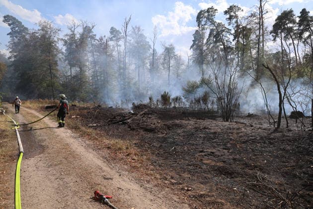 Waldbrand breitet sich bis nach Bayern aus Hubschrauber und Waldbrandflugzeug im Einsatz Polizei ermittelt wegen Brandstiftung Im Wald rund um Rodenbach im Main-Kinzig-Kreis brannte es am 10.08.2026 an mehreren Stellen, betroffen war eine Fläche von mehreren Tausend Quadratmetern. Mehrere hundert Feuerwehrleute sowie Polizeikräfte waren im Einsatz, unterstützt von zwei hessischen Polizeihubschraubern, einem bayerischen Hubschrauber mit Wasserwerfer und einem Waldbrandbeobachtungsflugzeug aus Bayern. Am Nachmittag griff das Feuer bis in Richtung der bayerischen Landesgrenze über, wo bayerische Löschzüge und Waldbrandlöschfahrzeuge ein weiteres Übergreifen verhinderten. Eine nahegelegene Wochenendhaussiedlung musste vorüberge