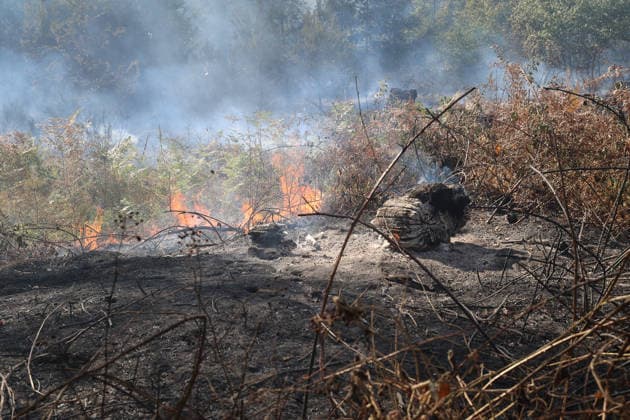 Waldbrand breitet sich bis nach Bayern aus Hubschrauber und Waldbrandflugzeug im Einsatz Polizei ermittelt wegen Brandstiftung Im Wald rund um Rodenbach im Main-Kinzig-Kreis brannte es am 10.08.2026 an mehreren Stellen, betroffen war eine Fläche von mehreren Tausend Quadratmetern. Mehrere hundert Feuerwehrleute sowie Polizeikräfte waren im Einsatz, unterstützt von zwei hessischen Polizeihubschraubern, einem bayerischen Hubschrauber mit Wasserwerfer und einem Waldbrandbeobachtungsflugzeug aus Bayern. Am Nachmittag griff das Feuer bis in Richtung der bayerischen Landesgrenze über, wo bayerische Löschzüge und Waldbrandlöschfahrzeuge ein weiteres Übergreifen verhinderten. Eine nahegelegene Wochenendhaussiedlung musste vorüberge