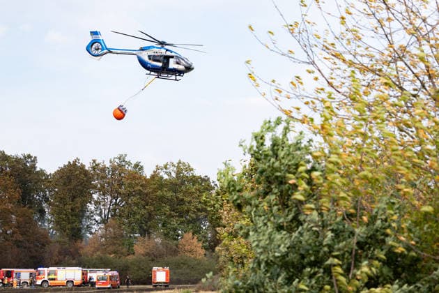 Firefighters Battle Wildfire at the Edge of the Forest Near Buschhoven A wildfire is spreading near Buschhoven in the municipality of Swisttal. What began as a field fire has spread to the adjacent forest due to strong winds; more than Copyright: xMarcxJohnx