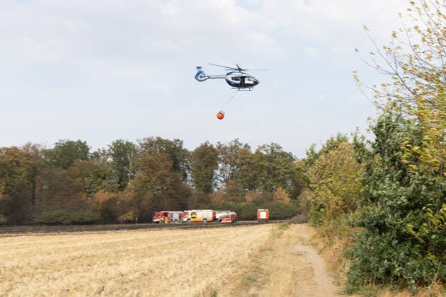 Firefighters Battle Wildfire at the Edge of the Forest Near Buschhoven A wildfire is spreading near Buschhoven in the municipality of Swisttal. What started as a burning field has spread to the adjacent forest due to strong winds; more Copyright: xMarcxJohnx