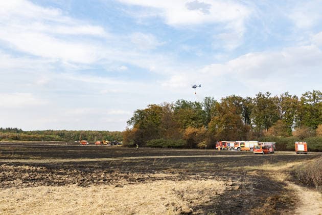 Firefighters Battle Wildfire at the Edge of the Forest Near Buschhoven A wildfire is spreading near Buschhoven in the municipality of Swisttal. What started as a burning field has spread to the adjacent forest due to strong winds; more Copyright: xMarcxJohnx