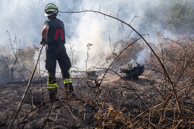 Four fires are raging in the