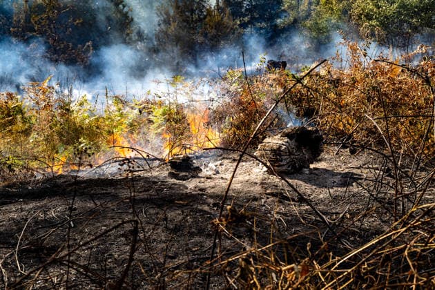 Four fires are raging in the