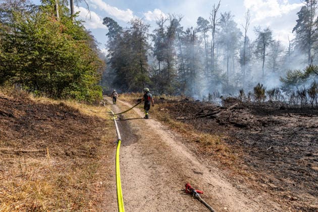 Four fires are raging in the