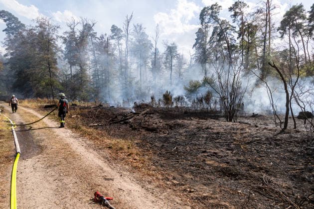 Four fires are raging in the