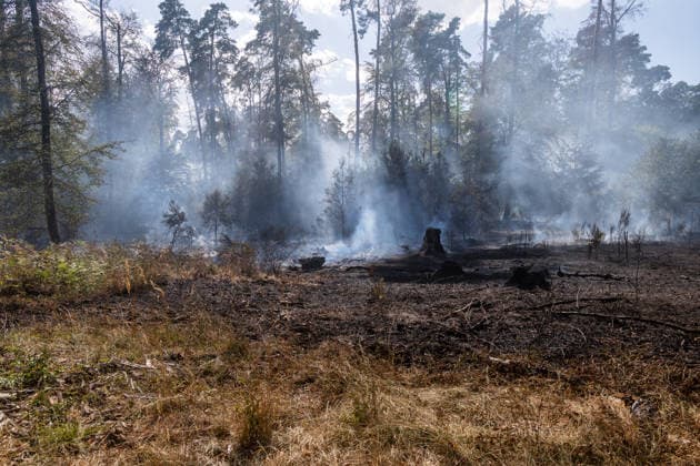 Four fires are raging in the
