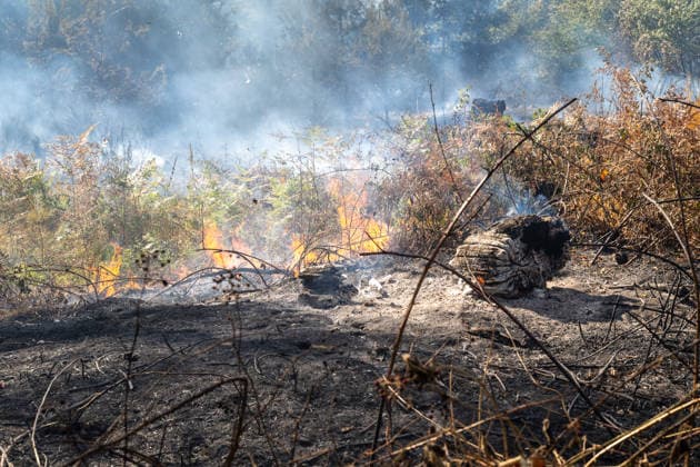 Four fires are raging in the