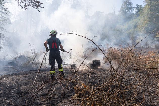 Four fires are raging in the