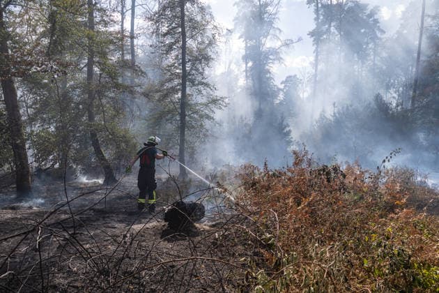 Four fires are raging in the