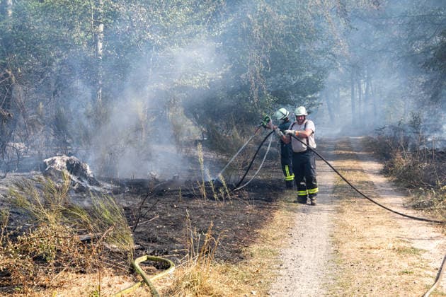 Four fires are raging in the