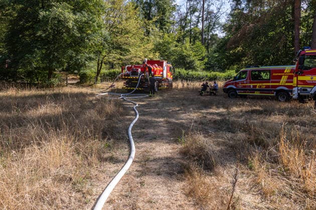 Four fires are raging in the