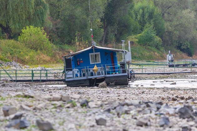 Low Water on the Rhine: Boats and Docks Stranded Near Bornheim Hersel Low Water on the Rhine With the water level at the Bonn gauge standing at 74 cm, the branch of the Rhine between Bornheim Hersel and the Herseler Werth Nature Reserve is largely dry; boats and docks are stranded on the dried-up riverbed. Historic low wat Copyright: xMarcxJohnx