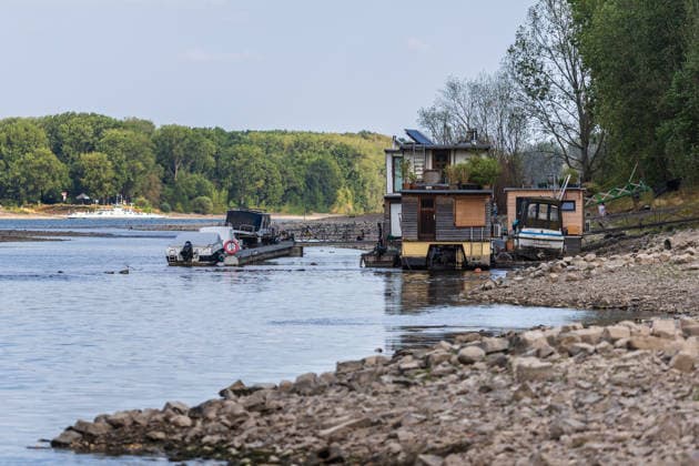 Low Water on the Rhine: Boats and Docks Stranded Near Bornheim Hersel Low Water on the Rhine With the water level at the Bonn gauge standing at 74 cm, the branch of the Rhine between Bornheim Hersel and the Herseler Werth Nature Reserve is largely dry; boats and docks are stranded on the dried-up riverbed. Historic low wat Copyright: xMarcxJohnx