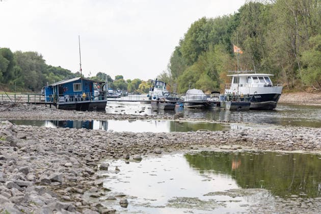 Low Water on the Rhine: Boats and Docks Stranded Near Bornheim Hersel Low Water on the Rhine With the water level at the Bonn gauge standing at 74 cm, the branch of the Rhine between Bornheim Hersel and the Herseler Werth Nature Reserve is largely dry; boats and docks are stranded on the dried-up riverbed. Historic low wat Copyright: xMarcxJohnx