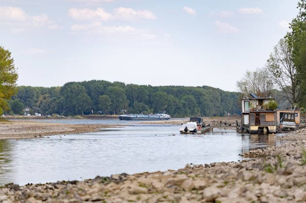 Low Water on the Rhine: Boats and Docks Stranded Near Bornheim Hersel Low Water on the Rhine With the water level at the Bonn gauge standing at 74 cm, the branch of the Rhine between Bornheim Hersel and the Herseler Werth Nature Reserve is largely dry; boats and docks are stranded on the dried-up riverbed. Historic low wat Copyright: xMarcxJohnx
