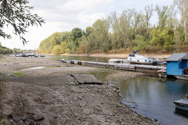 Low Water on the Rhine: Boats and Docks Stranded Near Bornheim Hersel Low Water on the Rhine With the water level at the Bonn gauge standing at 74 cm, the branch of the Rhine between Bornheim Hersel and the Herseler Werth Nature Reserve is largely dry; boats and docks are stranded on the dried-up riverbed. Historic low wat Copyright: xMarcxJohnx