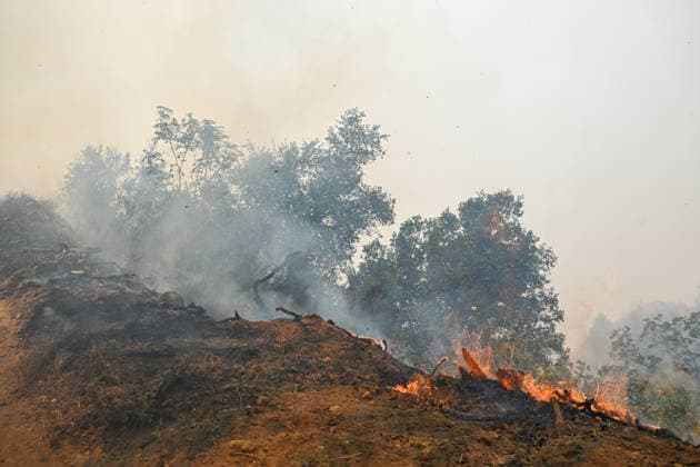 California s Timber Fire of wildfire in Big Sur grows BIG SUR, CALIFORNIA - AUG 10: A view of flames and smoke as Timber Fire of wildfire continues in Big Sur of California, United States on August 10, 2026. Tayfun Coskun Anadolu California United States. Editorial use only. Please get in touch for any other usage.  Copyright: x2026xAnadoluxTayfunxCoskunx
