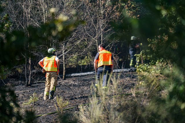 Feuer in Wald und in Wohngebiet fordert weit über 300 Einsatzkräfte Am 10.08.2026 brach gegen 13:15 Uhr zwischen Bad Schwalbach-Adolfseck und Hohenstein-Breithardt ein Waldbrand aus, der sich rasch auf über 8000 Quadratmeter ausbreitete. Rund 300 Feuerwehrkräfte sowie Kräfte von HessenForst bekämpften den Brand, für die Wasserversorgung wurde die B54 gesperrt. Gegen 14:15 Uhr griff parallel in Bad Schwalbach ein Feuer an einem Hang auf einen Anbau mit Garage über. Bei den beiden Einsätzen wurden insgesamt neun Personen leicht verletzt, zwei Einsatzkräfte mussten wegen Rauchgasinhalation ins Krankenhaus gebracht werden. Laut Kreisbrandmeister Michael Ehresmann besteht der Verdacht auf fahrlässige oder vorsätzliche Brandstiftung,